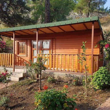 Ipek Hotel Çamyuva Εξωτερικό φωτογραφία