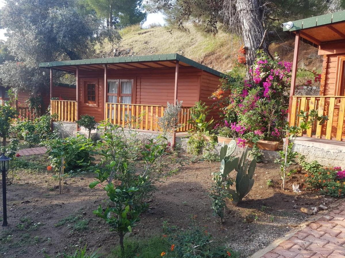 Ipek Hotel Çamyuva Εξωτερικό φωτογραφία