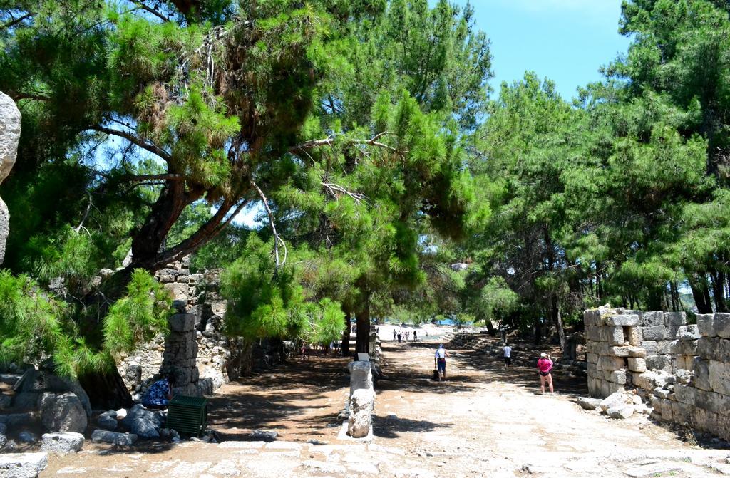Ipek Hotel Çamyuva Εξωτερικό φωτογραφία