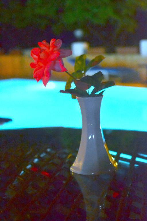 Ipek Hotel Çamyuva Εξωτερικό φωτογραφία