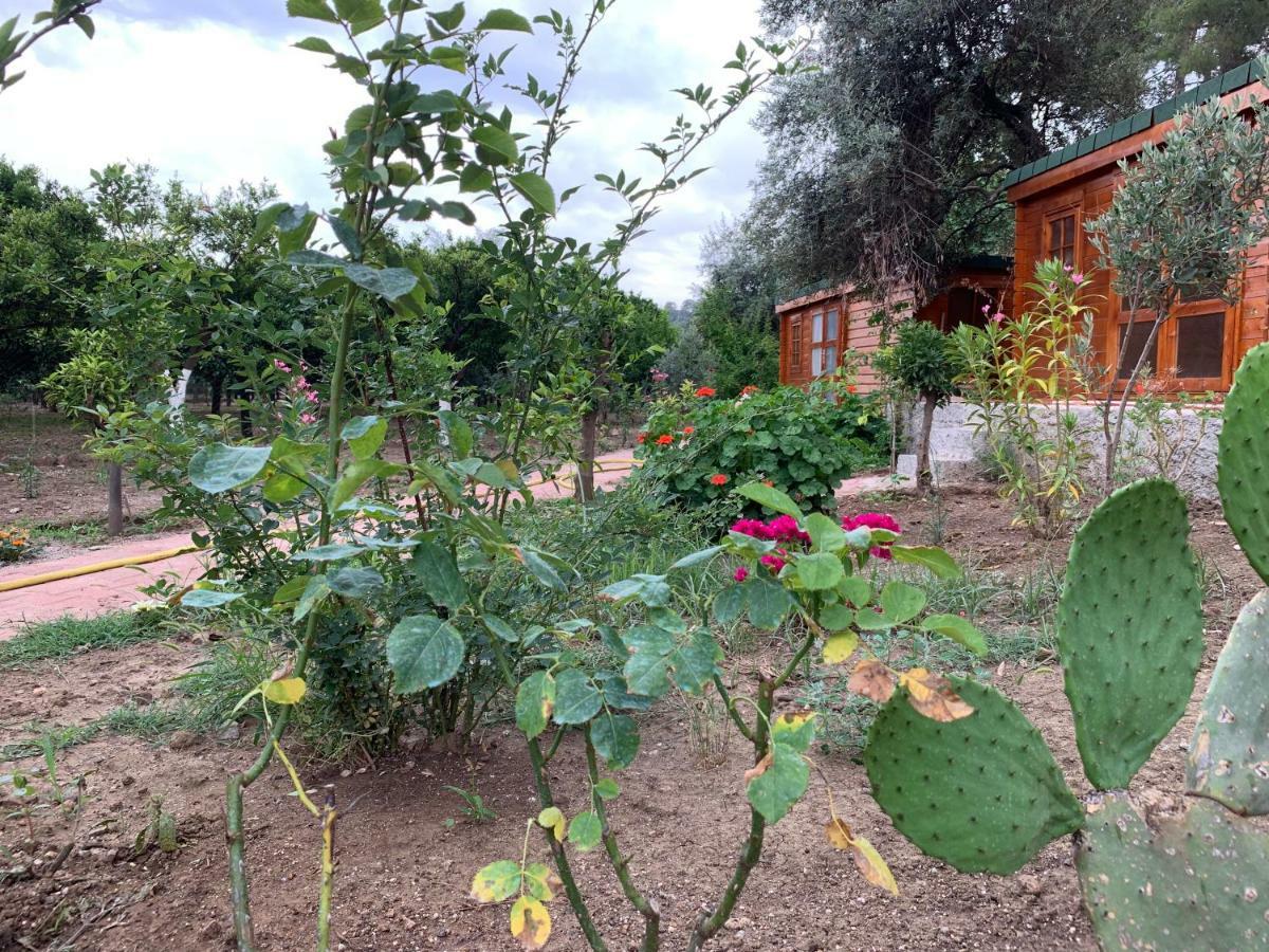 Ipek Hotel Çamyuva Εξωτερικό φωτογραφία